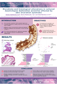 PÓSTER IOCAN_FINAL.pdf