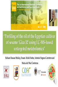 Presentation-slides-sciforum-034893.pdf