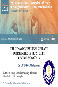 Ariunbold.E_Presentation_PDF_01.03.2021.pdf