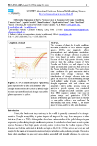 mol2net-03-DMaul2.pdf