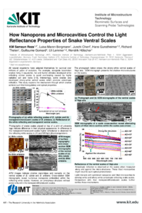 (16-05-24)How Nanopores and Microcavities Control the Light Reflectance Properties of Snake Ventral Scales.pdf