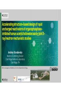 Kovalevsky_Crystals-Talk.pdf
