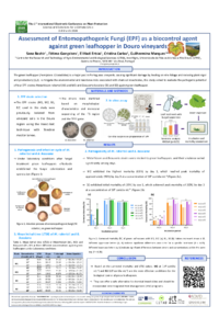 IECPP2026_Poster_Sana Bashir_Id-164199.pdf