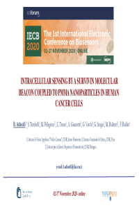 Slide Adinolfi IECB2020.pdf