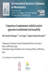 presentation-021707v2.pdf