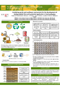 Noemi-foods-poster_final.pdf