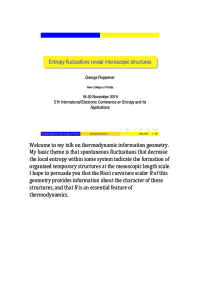 Ruppeiner(2019)-new.pdf