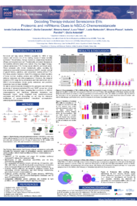 Poster IECC - Ionela C. Bubuianu.pdf