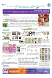 9th-ECMC_Poster_Yasmina BOUREBABA.pdf