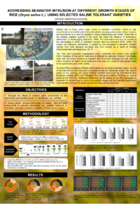 IOCG Poster_Gaudiel.pdf
