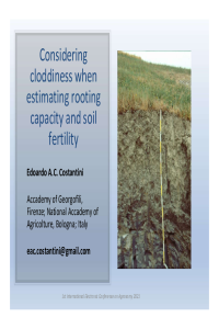 Costantini-cloddiness.pdf
