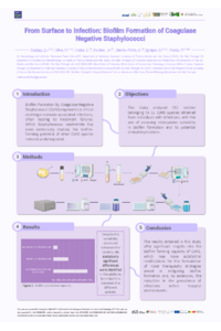 CF_ECM2025.pdf