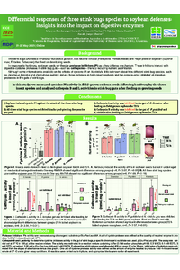 GerardoIrigoyenBordarampe_Insects2025_Poster.pdf