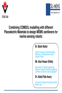 (ECP 2023)-Presentation_Basit.pdf