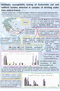 poster3.pdf