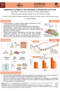 Poster_Marcia_Braz_ECA23.pdf