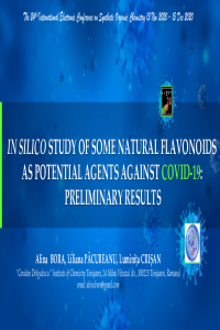 AlinaBora-ECSOC-2020-Presentation.pdf