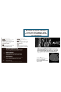 HIDA PPT.pdf