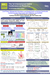 095930- Poster.pdf