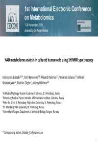 Shabalin IECM 2016 final.pdf