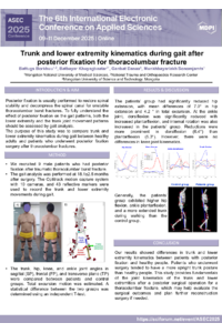 poster_2025.pdf