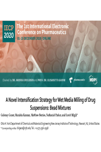 IECP 2020 Gulenay Guner presentation sciforum-039267 pdf.pdf