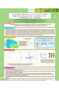 Conference Irigoytia.pdf