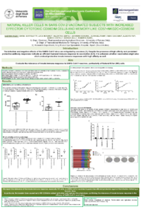 Poster_Rizzo_Sabrina PDF.pdf