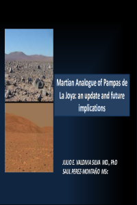2018-15-06 Valdivia-Silva et al., La Joya.pdf
