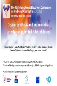 ECMC2021_LB.pdf