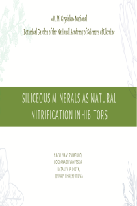 siliceous minerals as natural nitrification inhibitors.pdf