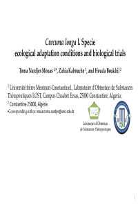 Presentation 8.pdf