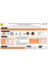 Poster Onion Foods 2023.pdf