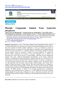 Phenolic Compounds Isolated From Euphorbia phosphorea.pdf