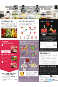 ECM_Oli_poster.pdf