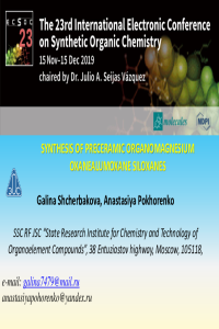 G. Shcherbakova, A. Pohorenko.pdf