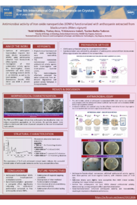 BOLD_Anthocyanin_functionalized_IONPs_Poster.pdf