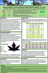 VAGIA ET AL 2022 POSTER.pdf