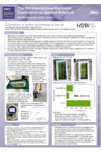 240912_Holtgrewe_IECAS.pdf