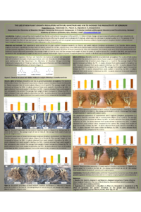 Poster of ScD V.A. Tsygankova, et al..pdf