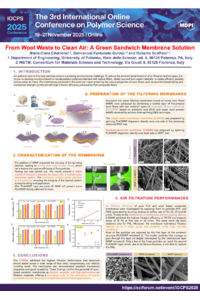sciforum-138404 Poster Citarrella.pdf