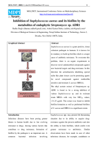 Mol2net paper.pdf