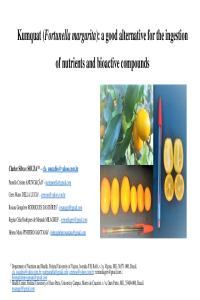 ppt 28_10_20.pdf