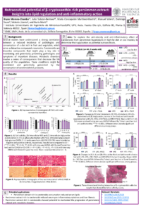 Template Jornadas POSTER BMoreno.pdf