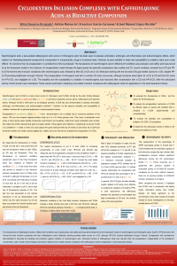 Poster Silvia.pdf