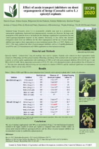 Effectofauxin_posterMD-skonwertowany.pdf