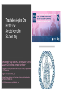 sciforum d'Angelo et al pdf.pdf