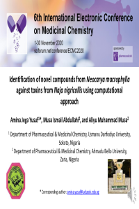 038013_YUSUF_AJ.pdf