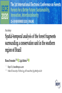 fernandes_batista_iecf2020.pdf