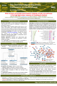avb_iecho_2025.pdf